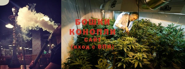 молекула духа Нязепетровск