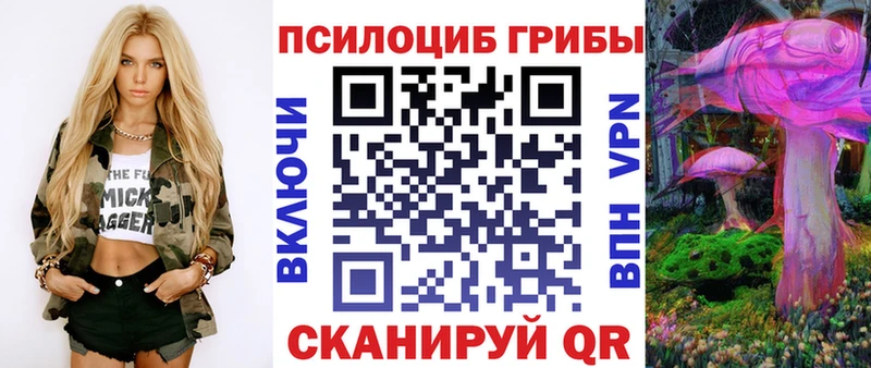 Галлюциногенные грибы Psilocybine cubensis  наркотики  кракен сайт  Торопец 